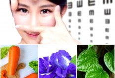 Mata Sehat Bebas Minus? 3 Tanaman Ini Ampuh Jaga Penglihatan Tetap Sehat dan Jelas