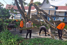 Cuaca Ekstrem, BPBD Pagar Alam Imbau Warga Waspada Longsor dan Pohon Tumbang