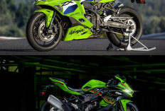 Kawasaki Ninja ZX-4RR 2026 Resmi Meluncur, Warna Baru dan Harga Jadi Sorotan