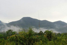 Melihat Misteri dan Sejarah Bukit Maras, Begini Penjelasanya!