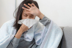 Jangan Panik! 5 Tips Cerdas Untuk Mempercepat Proses Penyembuhan Flu