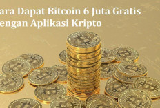 Prediksi Veteran Trader, Bitcoin Bisa Capai Harga Tertinggi US$ 205.000 pada Siklus Pasar Saat Ini! Ada Apa?