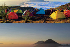 Menaklukkan Gunung Prau, Mengabadikan Momen Sunset dan Sunrise di Dataran Tinggi Jawa Tengah, Simak!