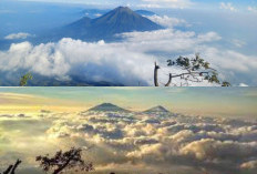 Mengapa Gunung Sumbing Adalah Pilihan Utama untuk Wisata Alam dan Petualangan!