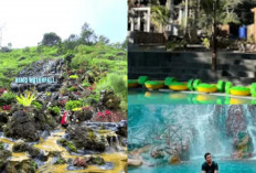 Hutan Hijau dan Air Panas Alami, Daya Pikat Nimo Jungle Hotspring