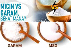 Lebih Aman Mana, Micin atau Garam? Ini Dia Fakta Kesehatannya