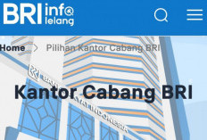 Catat, Begini Prosedur dan Panduan Mengikuti Lelang di BRI