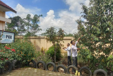 Manfaatkan Lahan Pekarangan untuk Tanam Sayur dan Buah