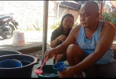 Pedagang Delima Raup Untung, Terjual 5000 Bungkus Sehari