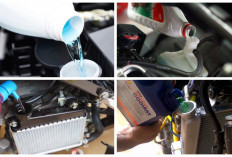 Ketahui! Tips Mengisi Air Radiator Motor, Baca Ini Penjelasannya