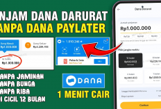 Pinjam Uang Sekarang Bisa Lewat DANA? Begini Caranya, Legal & Diawasi OJK!