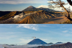 Gunung Semeru, Destinasi Impian Bagi Pecinta Alam dan Pendaki!