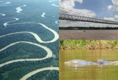 Penuh Misteri, Ini dia Cerita Seram Sungai Mahakam Arus yang Menyimpan Rahasia Tak Terungkap!