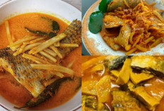 Yuk Cobain Resep Gulai Ikan Rebung Asam khas Bengkulu!