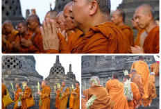 Waisak 2024. 43 Biksu Thudong Tiba di Candi Borobudur Untuk Perayaan Waisak