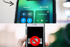 iPhone Tidak Ada Sinyal? Coba 5 Cara Ini untuk Pulihkan Jaringan