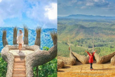 Rekomendasi 5 Spot Wisata di Yogyakarta yang Instagramable dengan Segudang Keindahan!