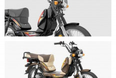 Merek Lain Wajib Siaga! Triumph Rilis Motor 'Entry Level' di IIMS 2026, Segini Harganya yang Bikin Pengunjung 