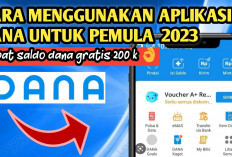 Wajib Diketahui, Ini 5 Cara Transfer Uang dari Dana ke OVO yang Mudah dan Efisien