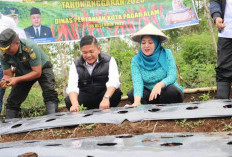 Kendalikan Inflasi, Tingkatkan Ekonomi Petani Lokal