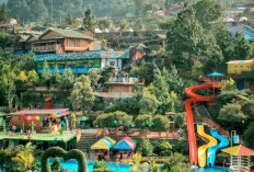 Ini Wisata Telaga Saat, Menyatu dengan Alam di Puncak Bogor