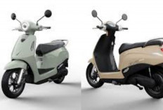 Review VinFast Evo Grand 2026: Motor Listrik Stylish dengan Harga Mengejutkan Ditahun 2026!