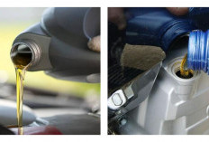 Oli Kental untuk Motor Tua Jurus Ampuh Jaga Mesin Tetap Prima dan Awet!