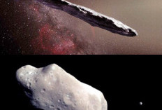 Yuk Ikuti Kisah Asteroid Pengembara yang Tiba-Tiba Masuk ke Tata Surya Kita
