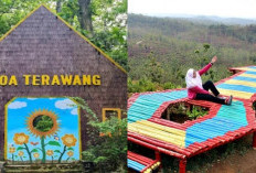 Instagramable Banget Tempat Wisata Blora yang Tidak Boleh Terlewatkan! 