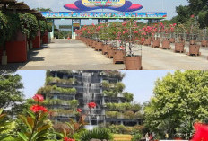 Menelusuri Keindahan dan Edukasi di Taman Wisata Mekarsari