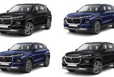 Suzuki Recall Grand Vitara Terbaru 2026, Ini Penyebabnya dan Daftar Komponen yang Bermasalah!