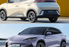 Laris Manis di IIMS 2026, BYD Atto 1 Jadi Mobil Listrik Favorit, Ini Faktor Penentunya