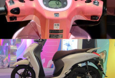 Harga 40 Juta VND, Honda Scoopy 110cc Jadi Pilihan Utama Berkat Gaya Menawan dan Efisiensi Tinggi