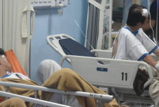 Mulai Terserang Penyakit Demam dan Tifus