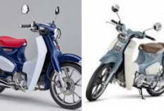 Review Honda C800 2026: Motor Cruiser Modern dengan Performa Bertenaga dan Fitur Premium!