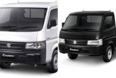 Review Suzuki Carry Pick Up 2026: Masih Jadi Rajanya Niaga? Ini Fakta yang Jarang Dibahas! 