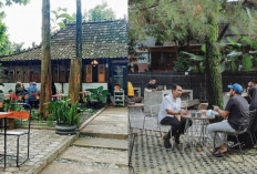 Kafe Instagramable di Cibubur, Tempat Nongkrong yang Cocok untuk Semua!!