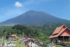 Misteri Gunung Dempo dan Si Pahit Lidah, Awas Pendaki dari Lampung Harus Waspada, Ini Dia Alasannya!