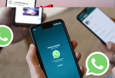 Performa Maksimal. Begini Cara Menghapus Penyimpanan Whatsapp di Android dan Ios