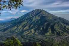 Petualangan di Puncak Merbabu: Tips Pendakian dan Aturan yang Wajib Dipatuh