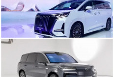 Denza Resmi Ekspansi Global! Mobil Listrik Premium Besutan BYD Siap Tantang Tesla dan Lexus di 2025