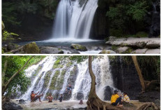 Rehat Sejenak, 5 Wisata Air Terjun di Jepara Menyegarkan Pikiran di Tengah Alam!