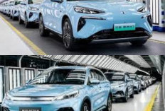 Yuk Kenalan dengan Negara yang Sudah Punya Jalur Khusus untuk Kendaraan Listrik