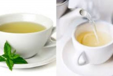 Jarang Diketahui Ini 10 Manfaat Teh Putih bagi Kesehatan Tubuh di 2026, Dari Anti-Aging hingga Jaga Imunitas!