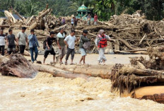 Turun Tangan Bantu Korban Bencana