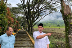 Wako Tinjau Fasilitas Penunjang Vila Gunung Gare