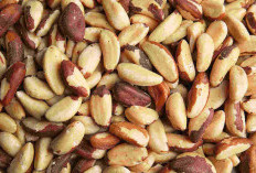Penuh Gizi, Tinggi Manfaat 5 Khasiat Kacang Bogor Yang Menakjubkan