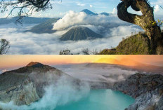 5 Destinasi Wisata Gunung di Jawa Timur Paling Populer 2026 yang Jadi Spot Favorit Para Pendaki