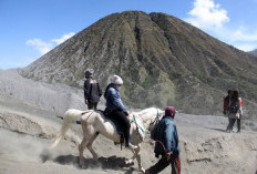 Melihat Keindahan Gunung Bromo: Syurganya Para Pendaki