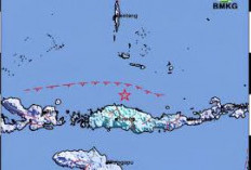  Gempa M 5.2 Guncang Flores